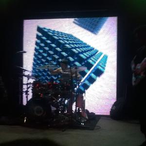 Animals as Leaders